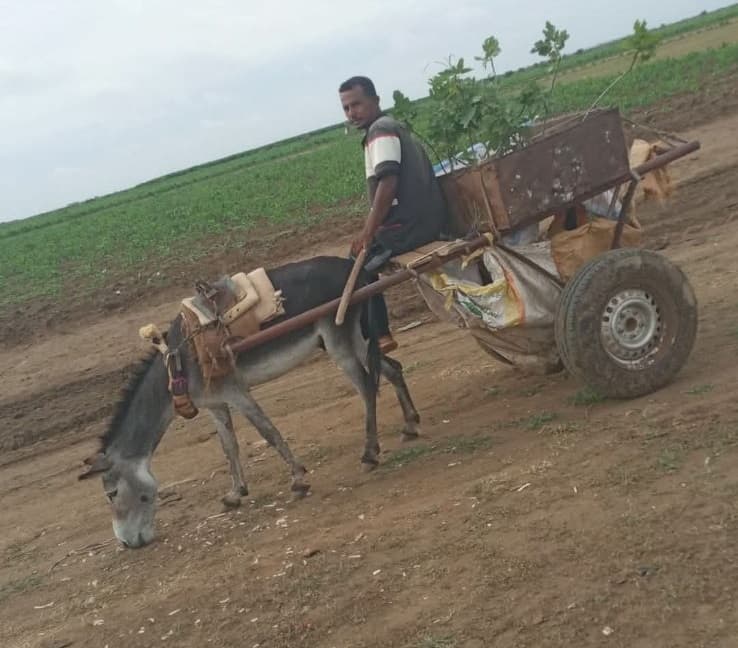 السياسة والأخبار