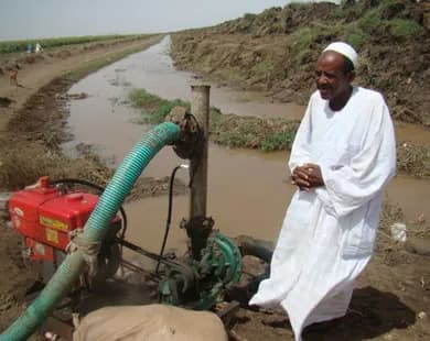 السياسة والأخبار