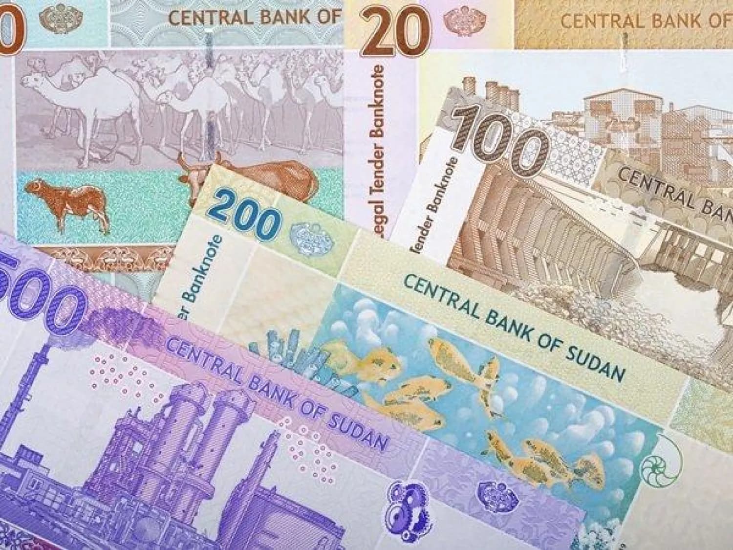 السياسة والأخبار