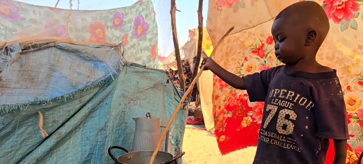 19.5مليون يواجهون الجوع و14 منطقة على حافة المجاعة